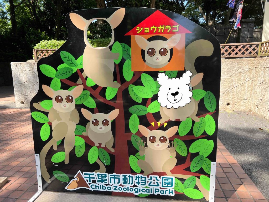 千葉市動物公園　記念写真